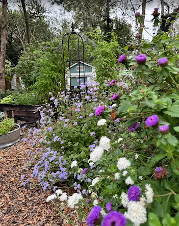 Education and Consultations