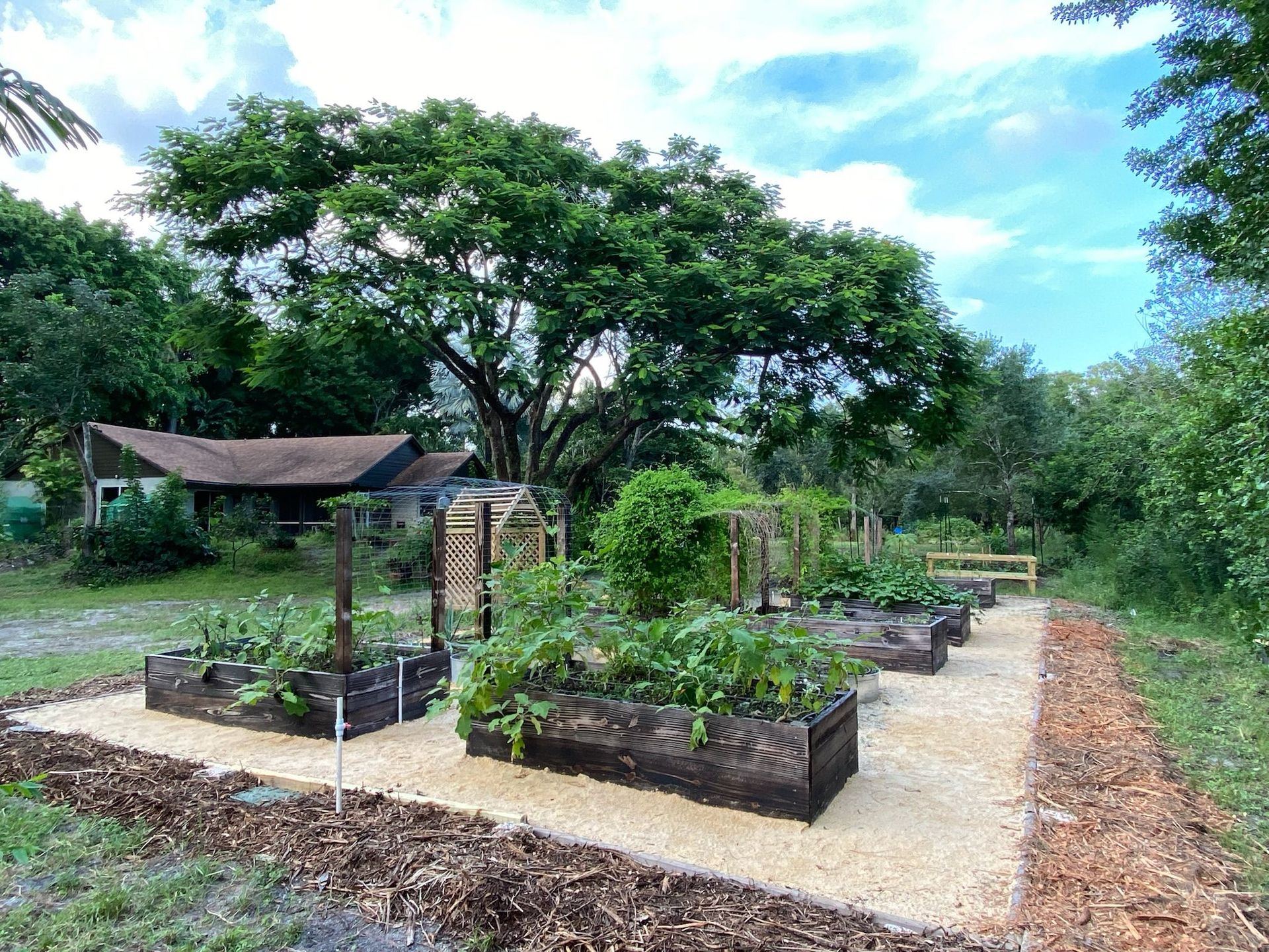 Custom/Specialty Gardens