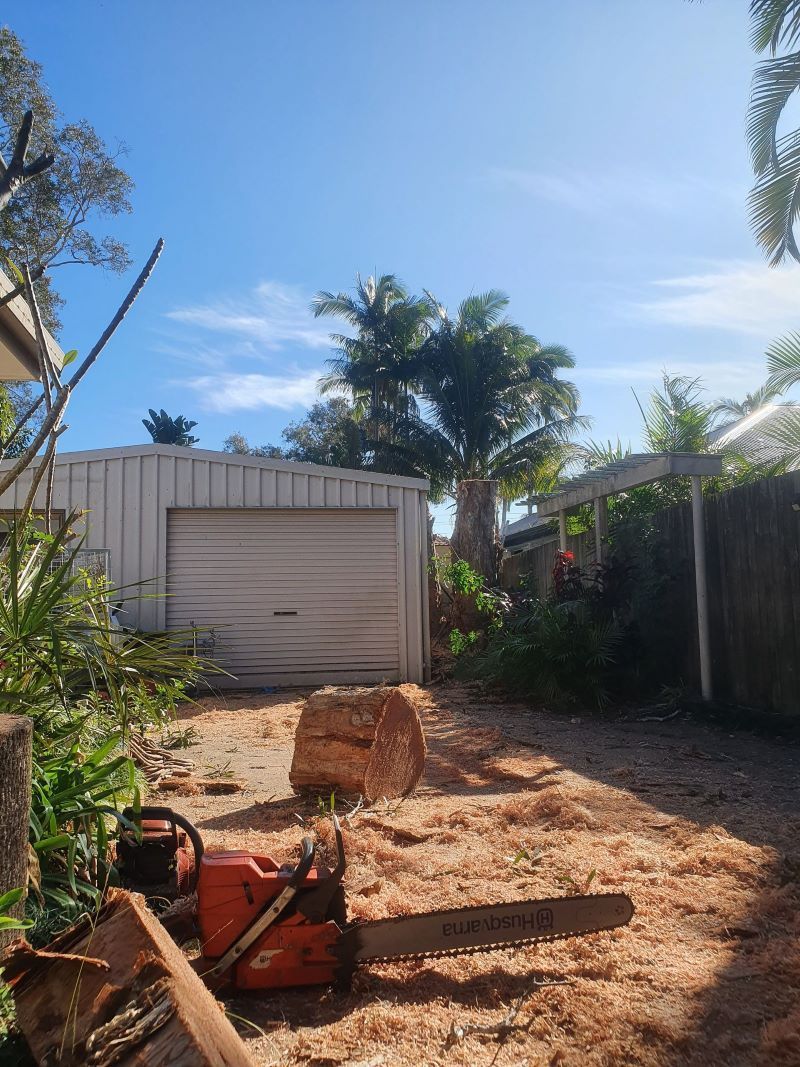A Chainsaw is Sitting on Top of a Pile of Wood — Arbaron Pty Ltd in Black Mountain, QLD