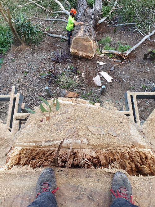 A Person is Standing on Top of a Pile of Wood — Arbaron Pty Ltd in Black Mountain, QLD
