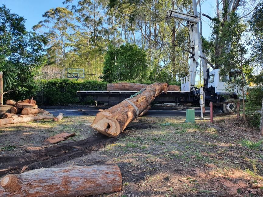 A Large Log is Laying on the Ground Next to a Truck — Arbaron Pty Ltd in Black Mountain, QLD