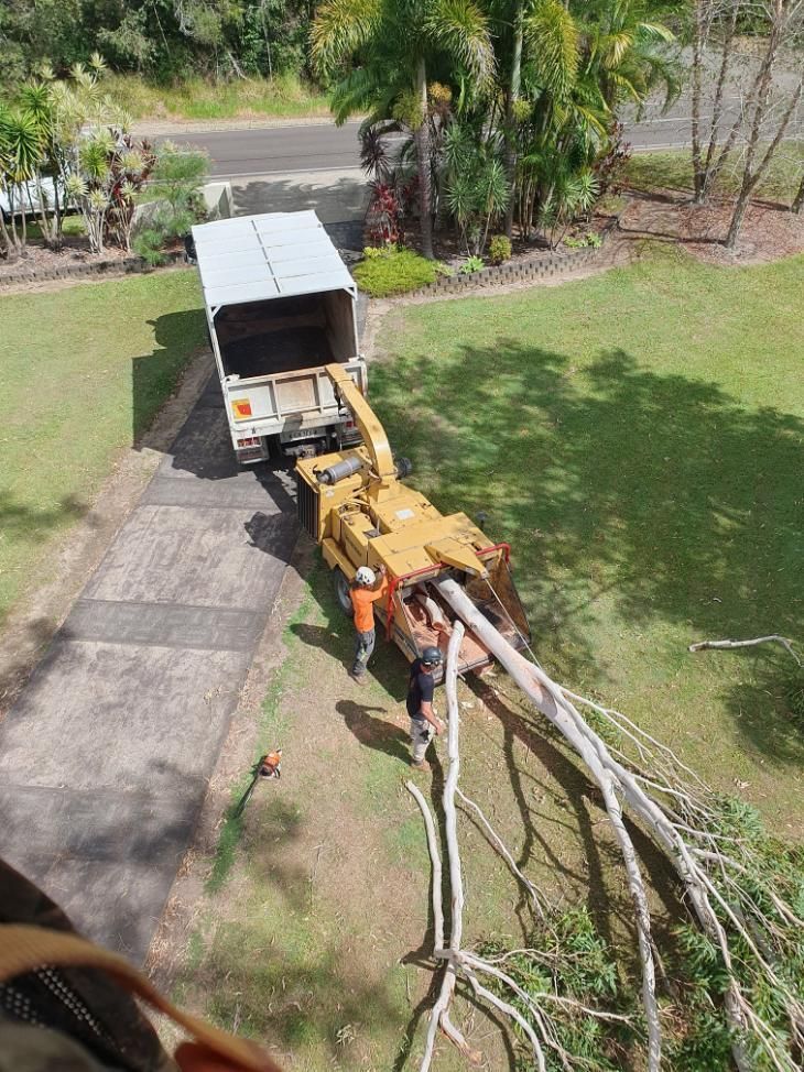 An Aerial View of a Tree Being Cut Down by a Truck — Arbaron Pty Ltd in Black Mountain, QLD