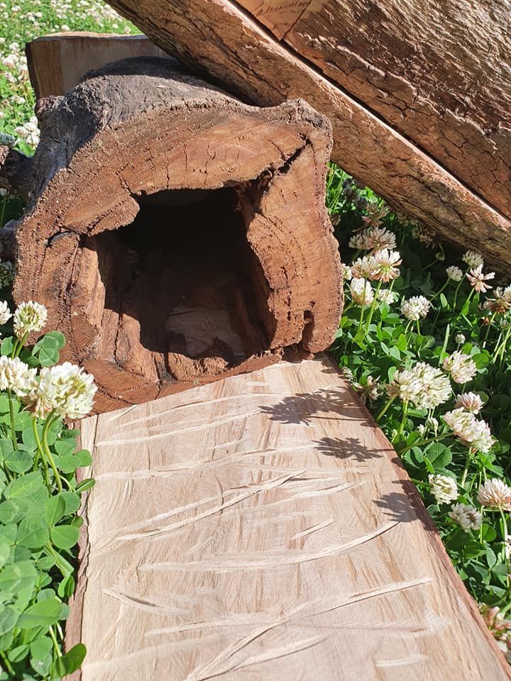 A Tree Trunk With a Hole in It is Sitting Next to a Wooden Walkway — Arbaron Pty Ltd in Eumundi, QLD