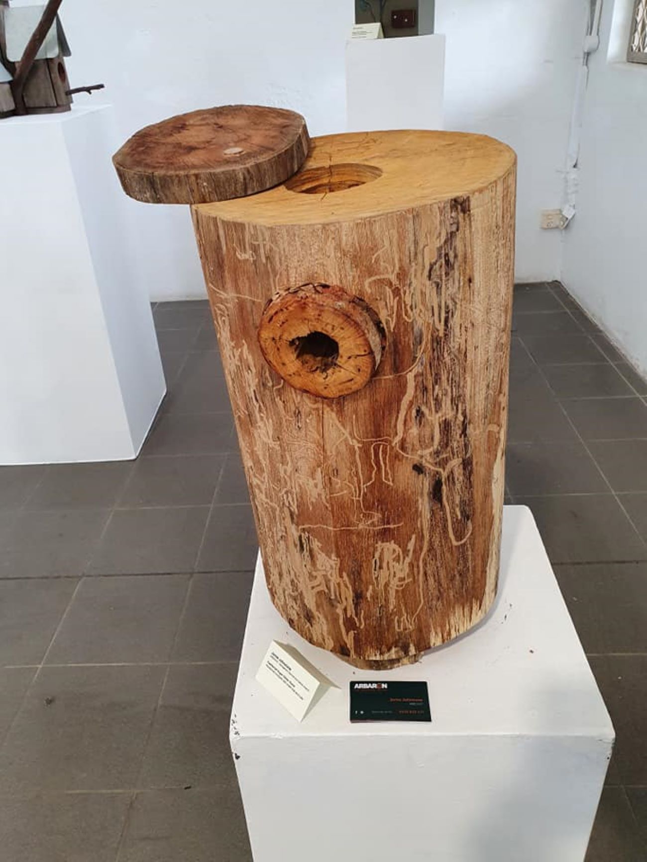 A Tree Stump With a Hole in It — Arbaron Pty Ltd in Cooran, QLD