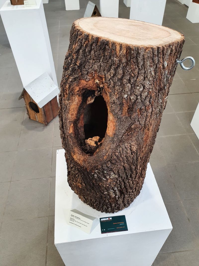 A Tree Stump With a Hole in It is Sitting on a Pedestal — Arbaron Pty Ltd in Pomona, QLD