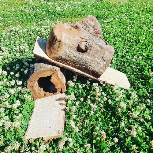 A Pile of Logs Sitting on Top of a Grassy Field — Arbaron Pty Ltd in Cooroy, QLD