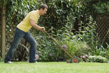 A man is mowing his lawn with a manual lawn mower.