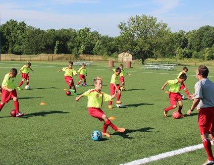 A group of young boys are playing soccer on a field.