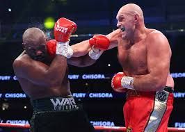 Two men are fighting each other in a boxing ring.