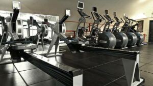 A row of treadmills are lined up in a gym.