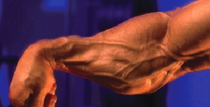 A close up of a man 's arm with a blue background.