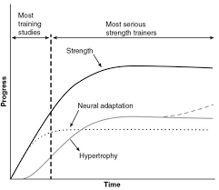 A graph showing the progress of most training studies and most serious strength trainers