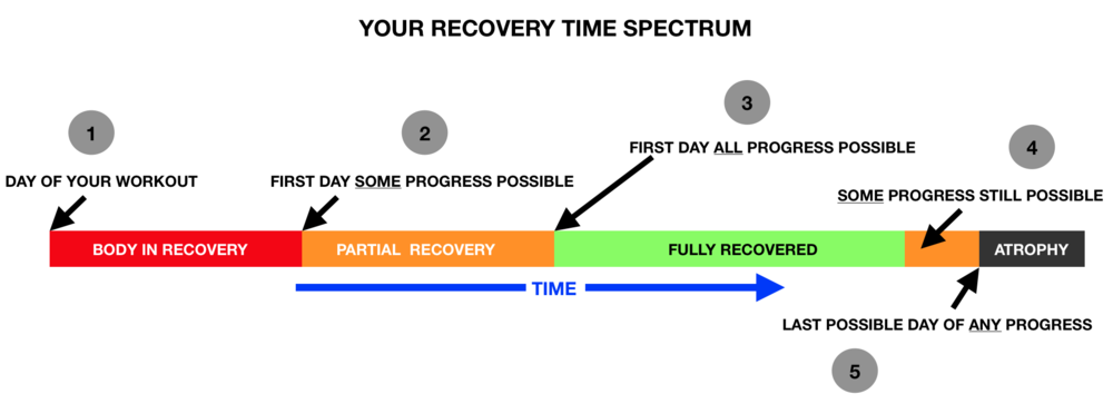 A diagram showing the recovery time spectrum of a person