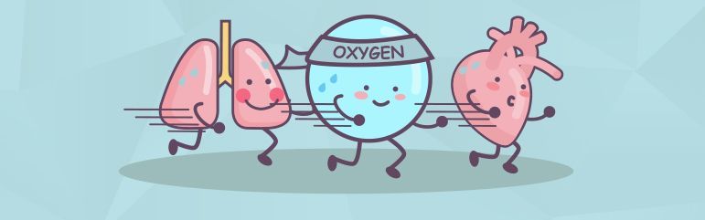 A cartoon illustration of a heart , lungs , and oxygen.