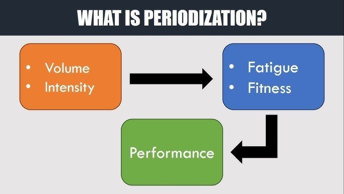 What is Periodization 