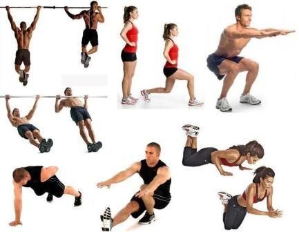 A group of people doing different exercises on a white background