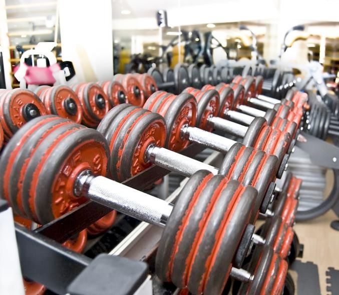 A row of red and black dumbbells in a gym