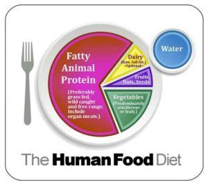 A diagram of the human food diet with a fork