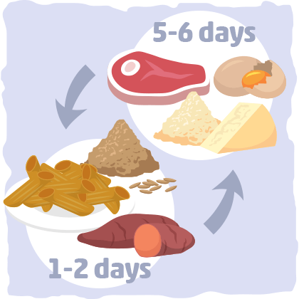 A cartoon illustration of different types of food including meat and cheese