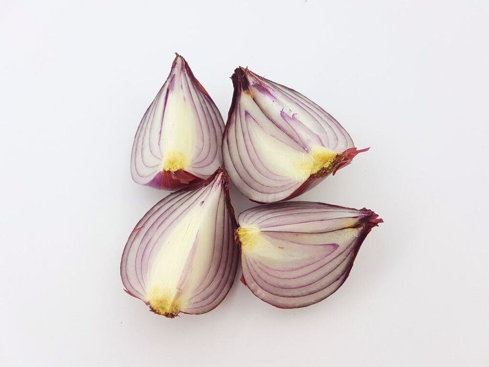 Four red onions cut in half on a white surface