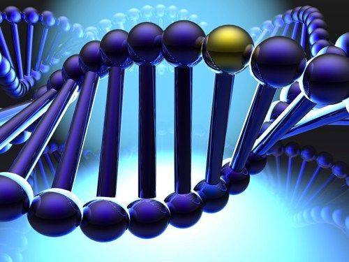 A 3d rendering of a dna chain with a yellow sphere in the middle.