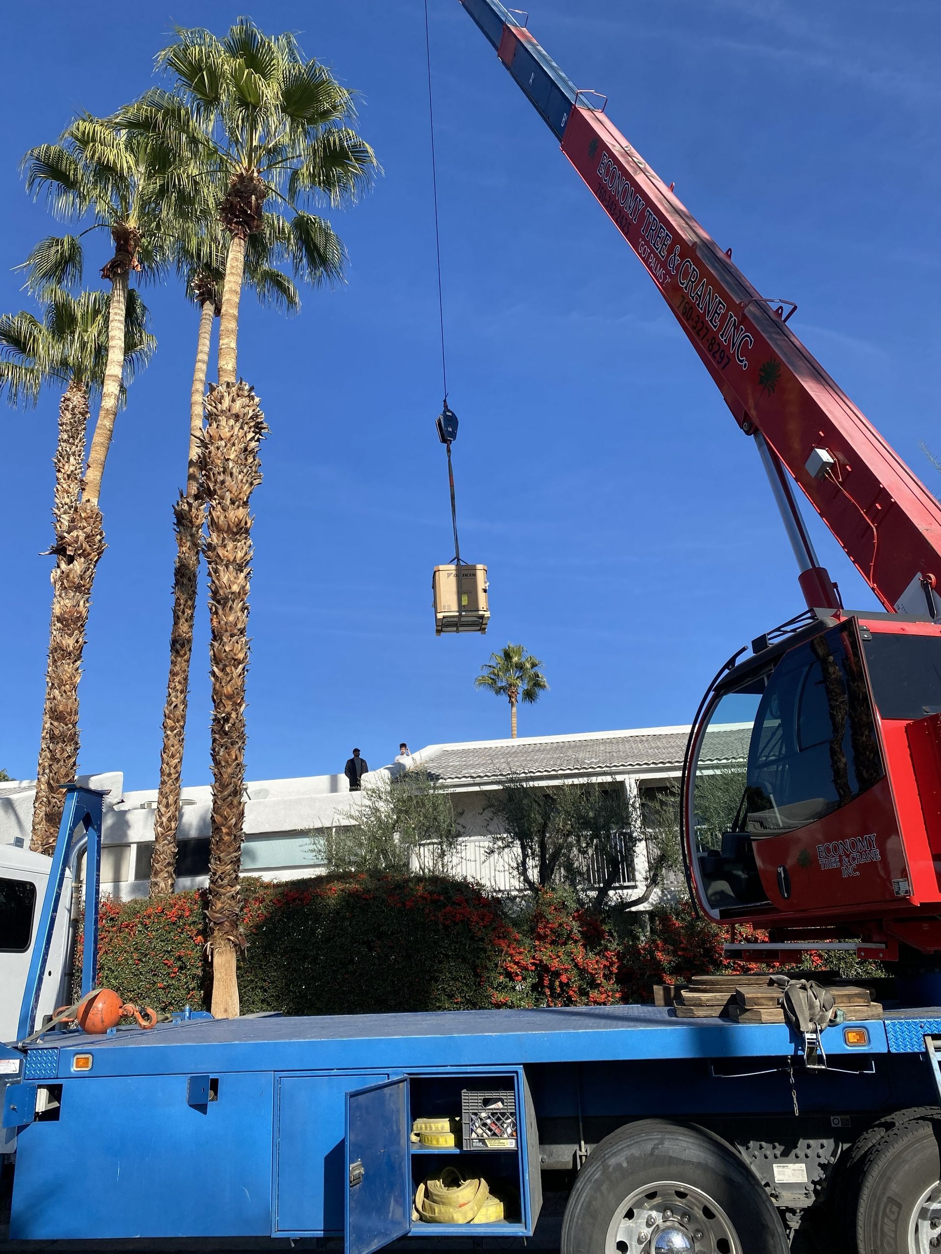 A crane lifting a small box, near palm trees and a building, on a sunny day.
