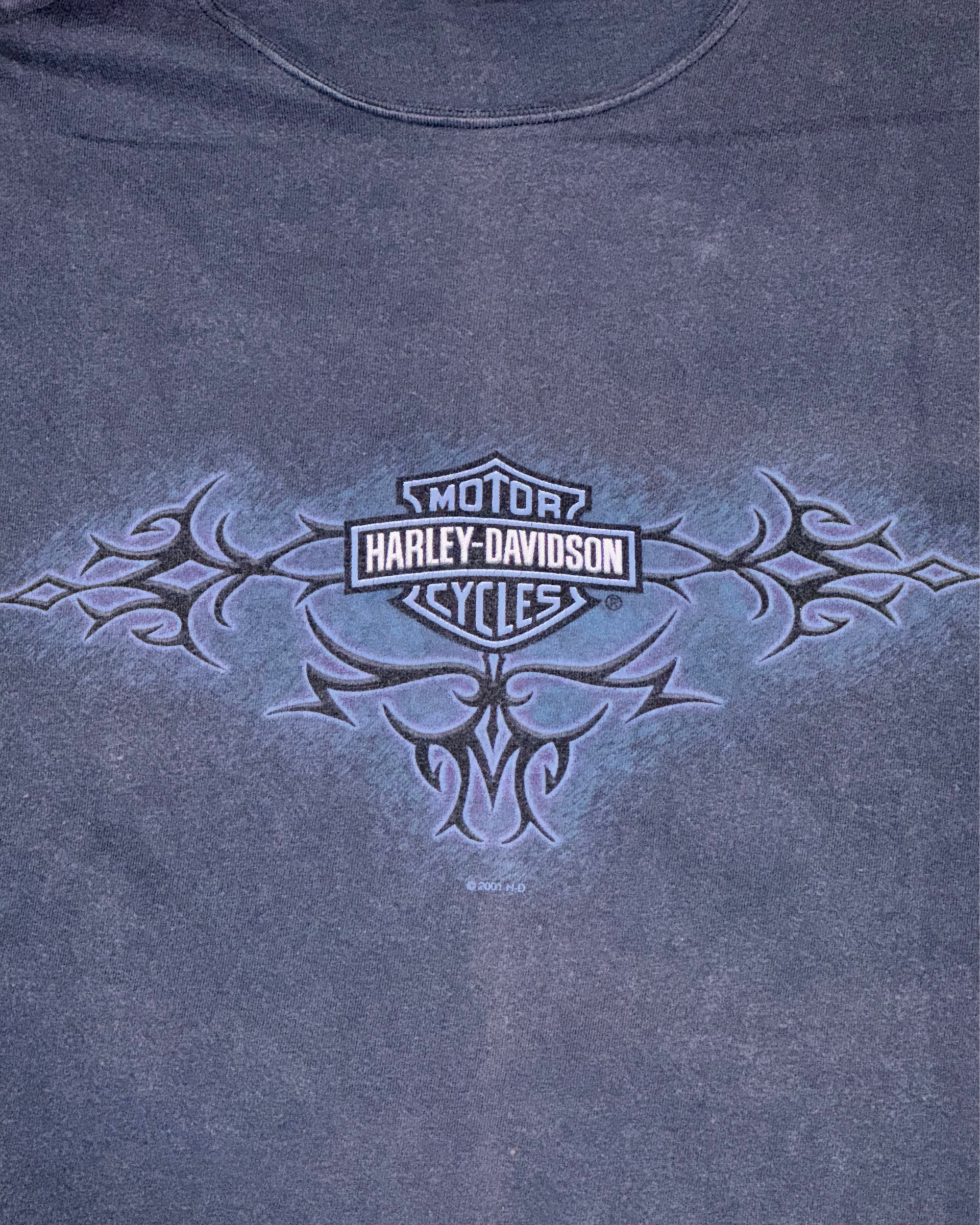 Vintage 2007 Cajun Harley Davidson Lafayette, LA Destination T-Shirt