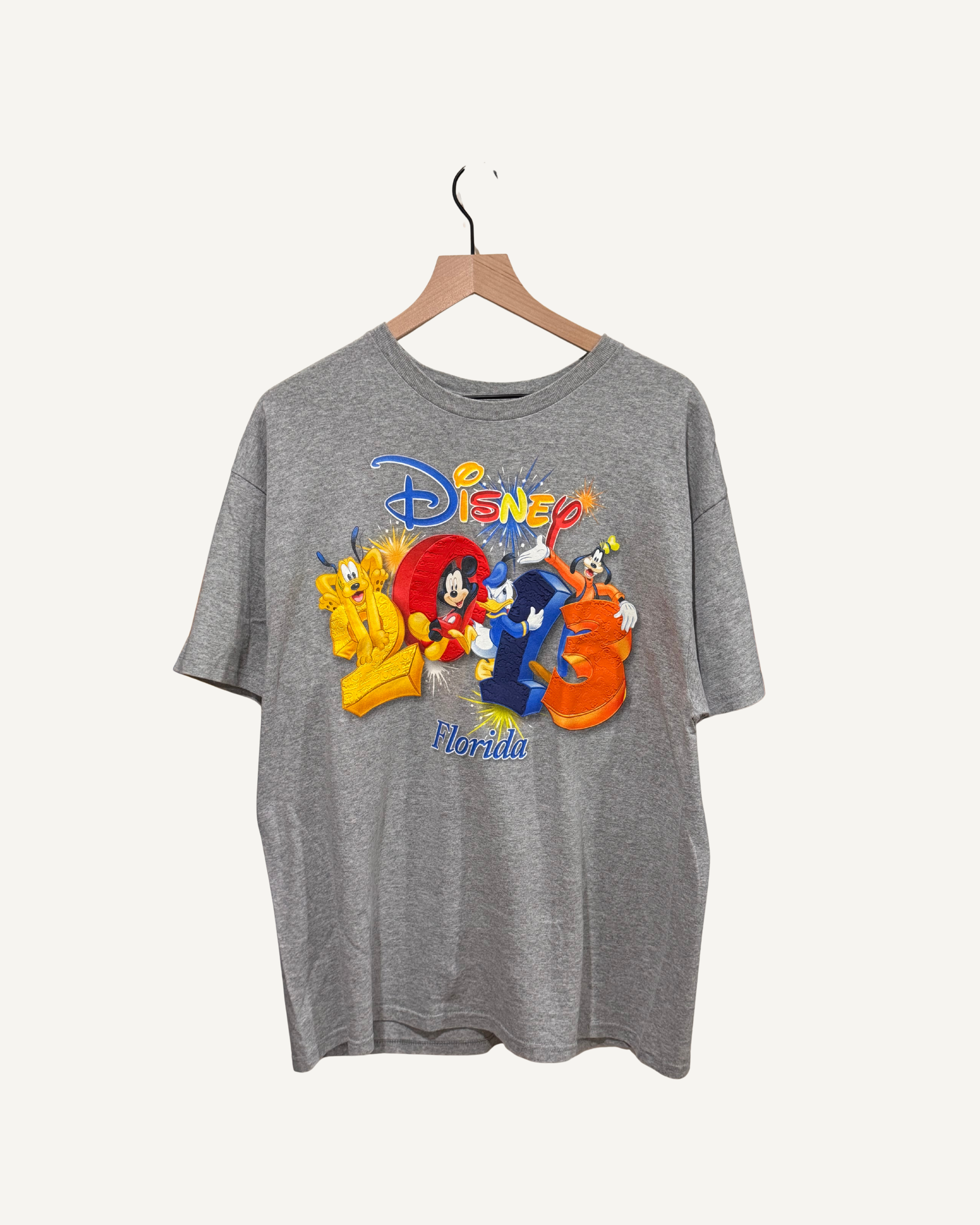 2013 Disney World Character Celebration T-shirt