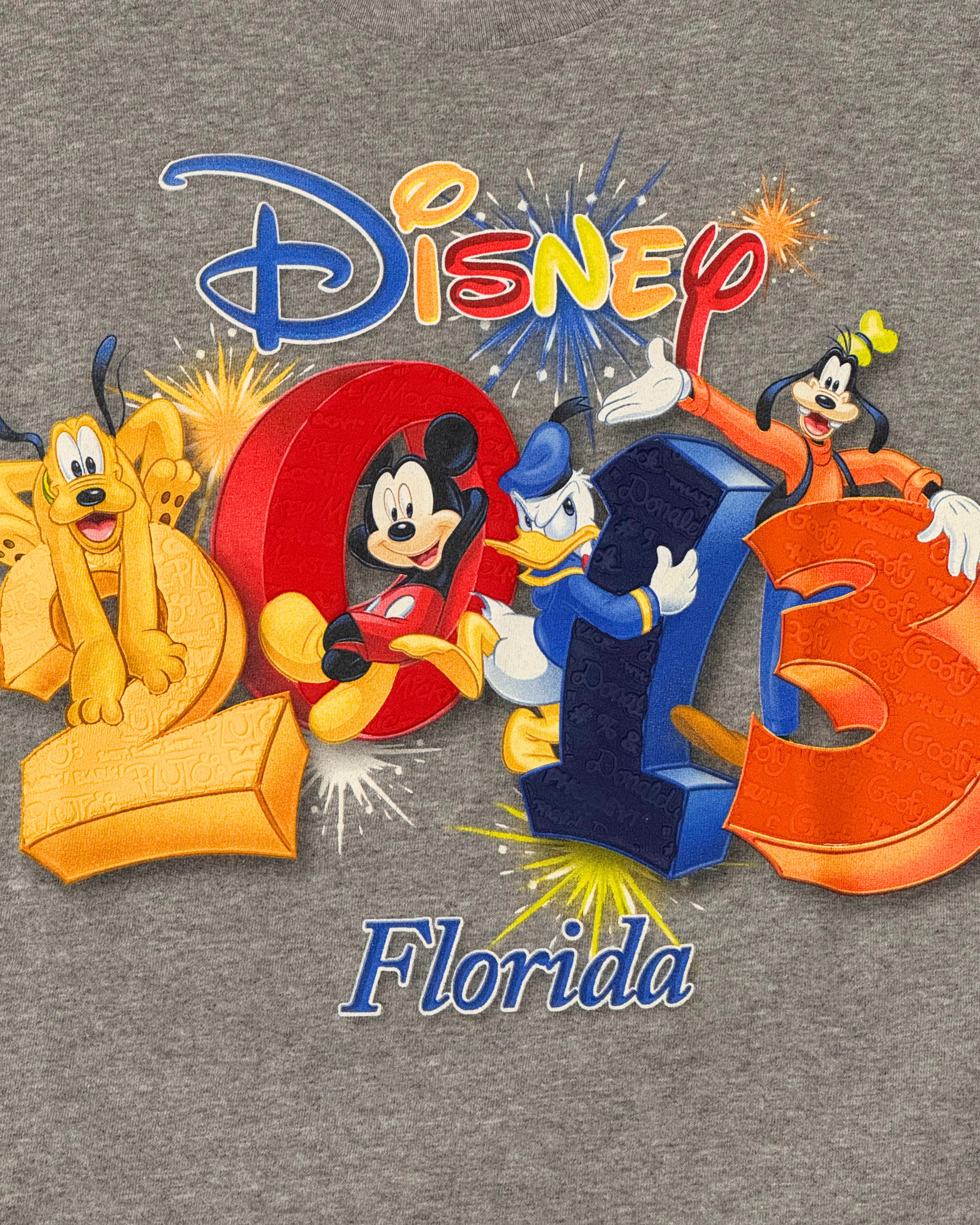 2013 Disney World Character Celebration T-shirt