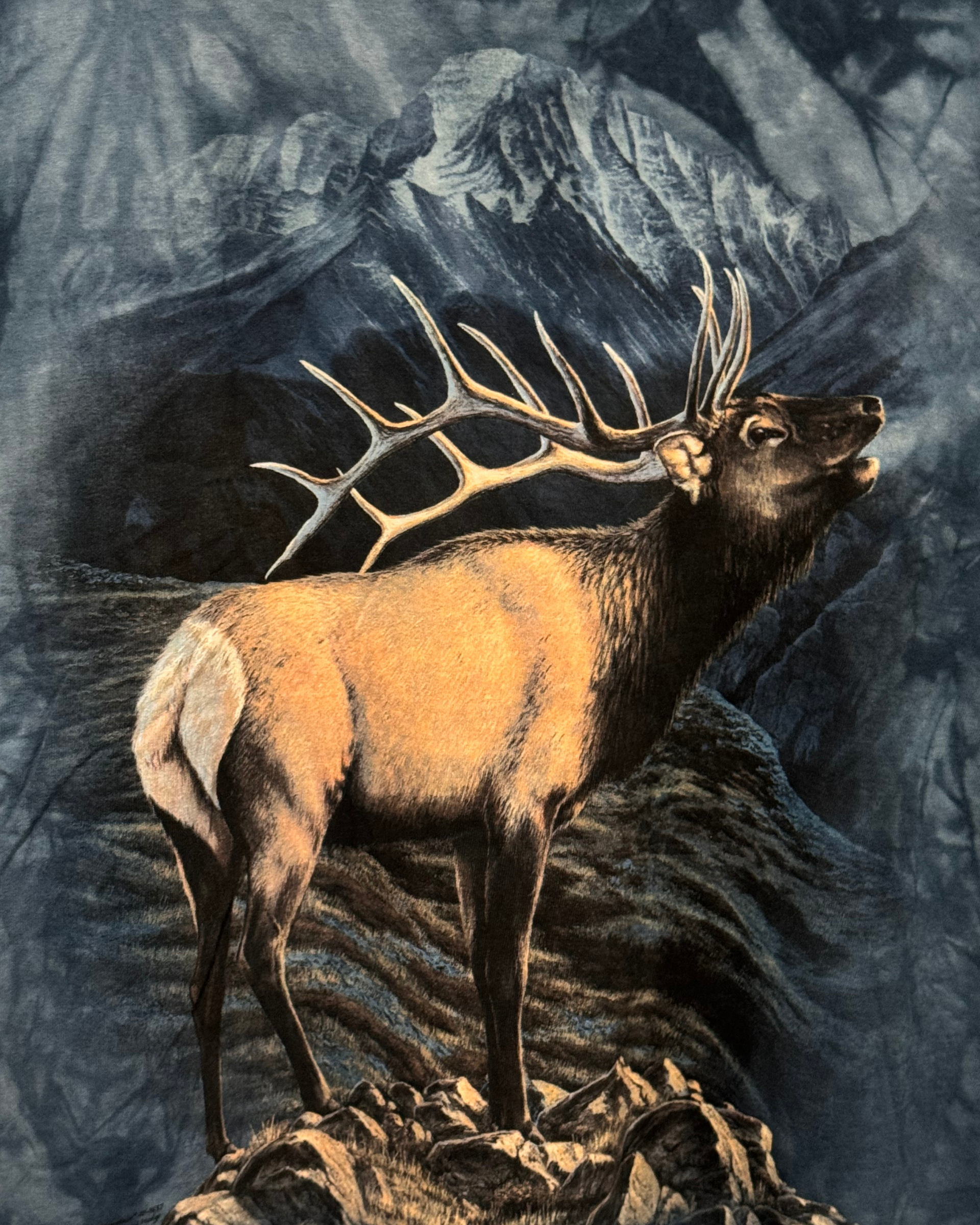 Vintage 2004 The Mountain 