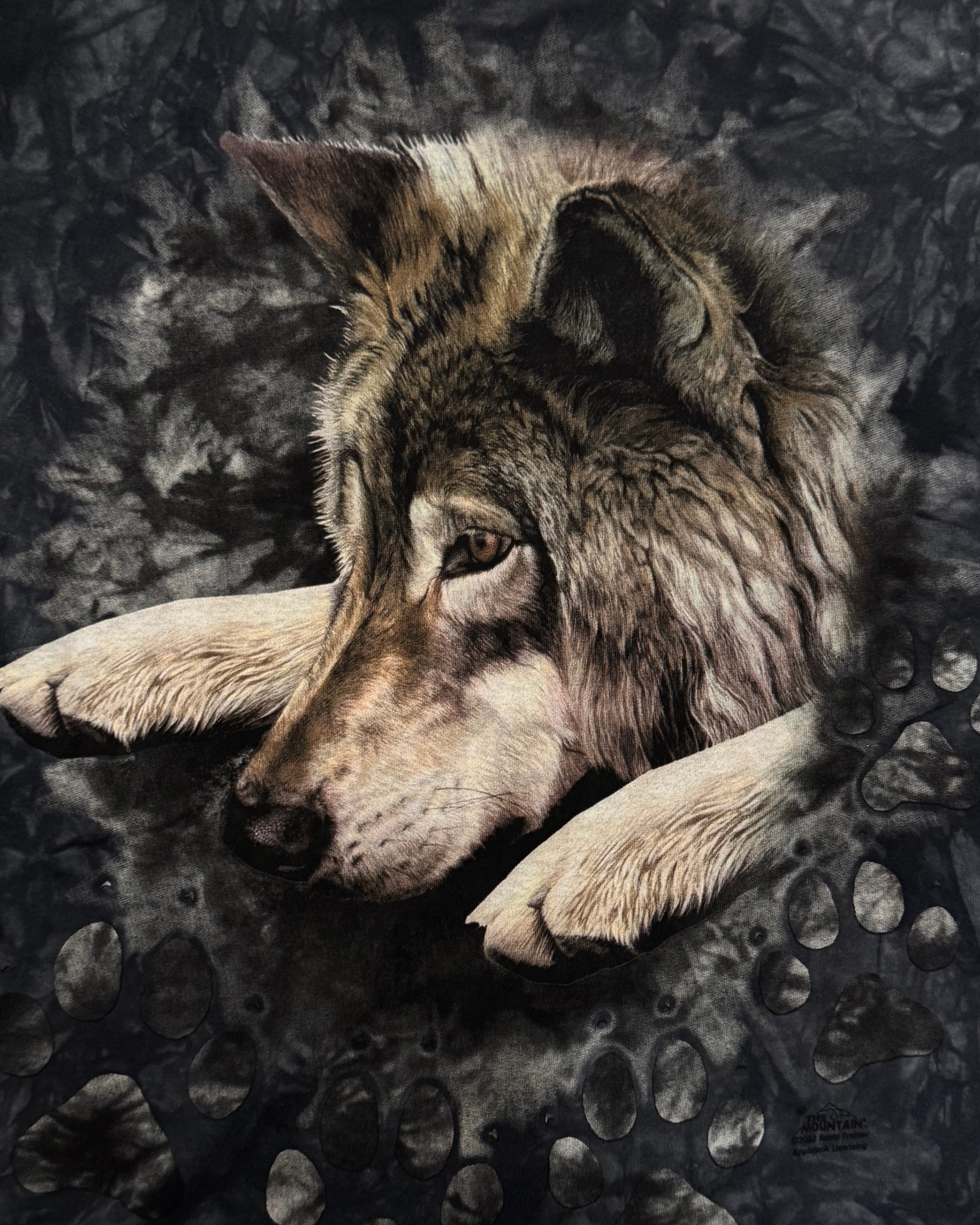 Vintage The Mountain 