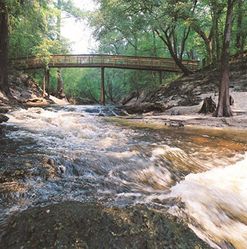 Bridge over a rushing river in a wooded area; brown bridge, trees, and rushing water.