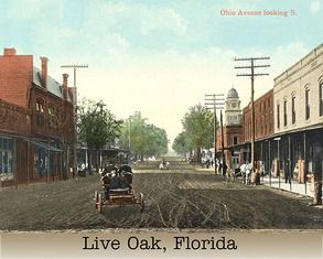 Vintage postcard view of Ohio Avenue in Live Oak, Florida, with buildings and a horse-drawn carriage on a dirt road.