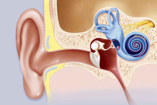 Vertigo Buzzing And Pressure In Ear Vertigo Ringing And Pressure