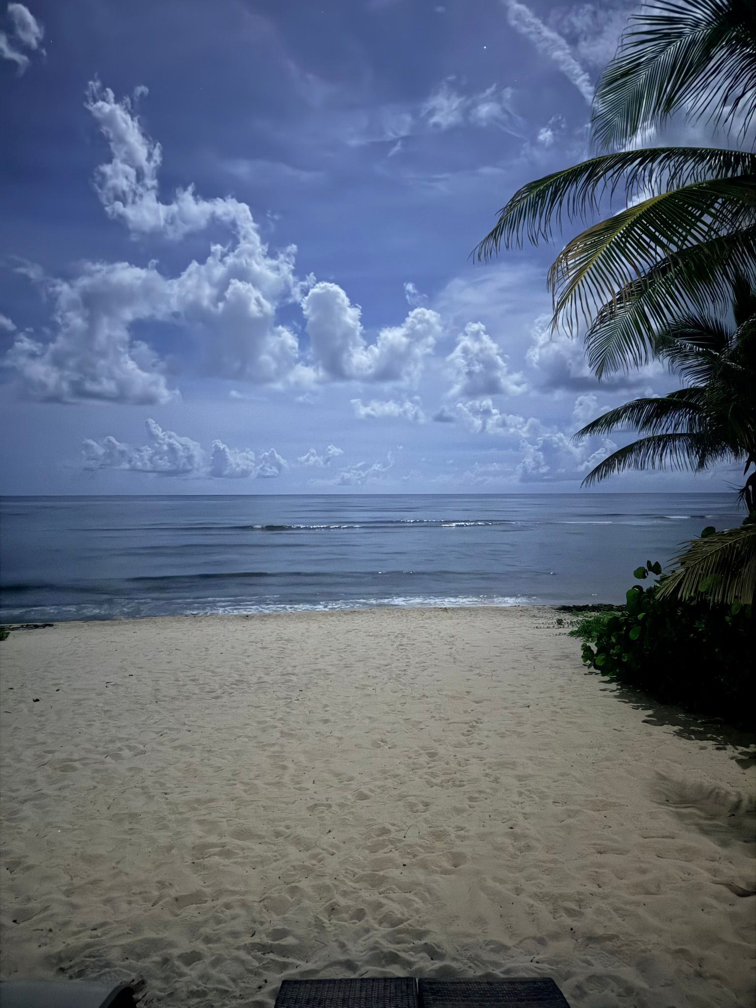 Beach scene with white sand, ocean, blue sky, and puffy clouds. Palm tree branches frame the right.
