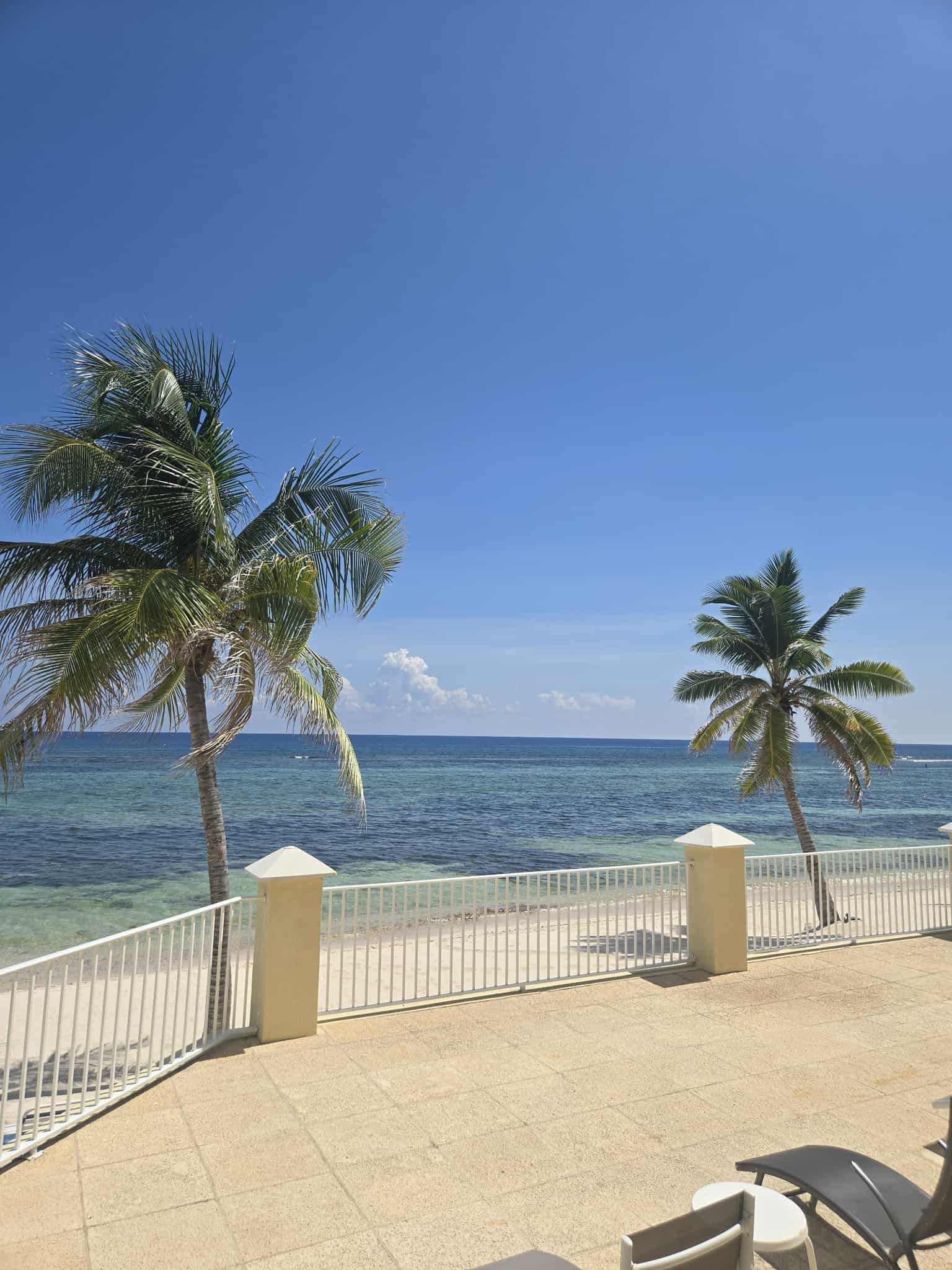 Beach scene with two palm trees, white fence, blue ocean, and clear sky.