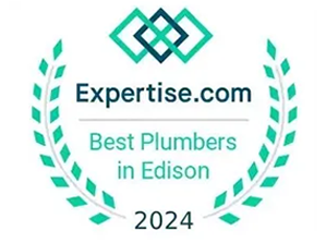 Expertise.com badge: Best Plumbers in Edison 2024, teal and white, with laurel wreath and intersecting squares.
