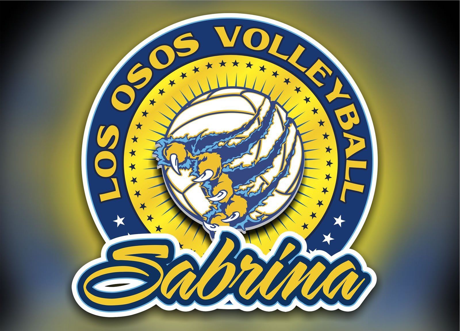 Volleyball Car Decals