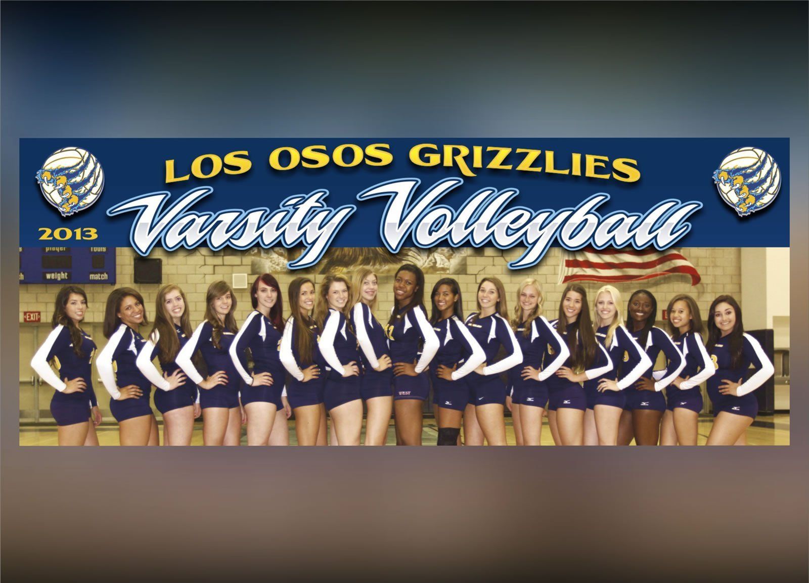 Senior Volleyball Banners