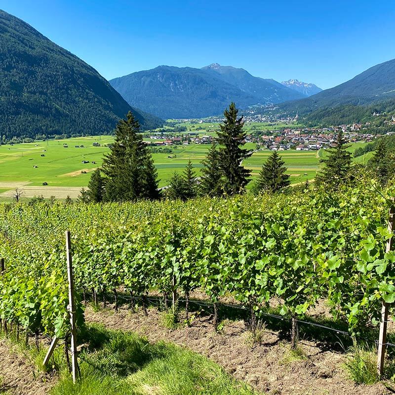 Weingut Flür, Foto: Doreen Schneemann
