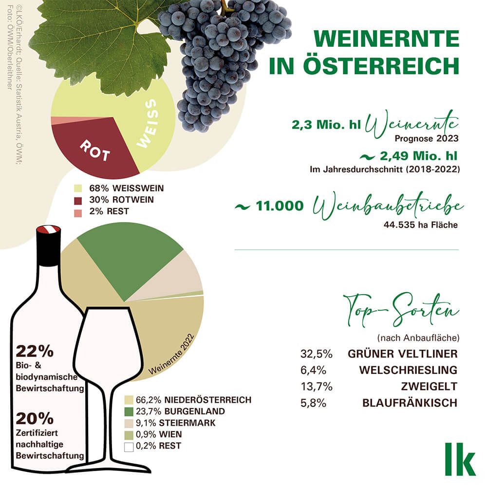 Key Facts zum österreichischen Wein  © Landwirtschaftskammer Österreich / Erhardt