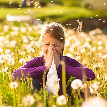 Spring Allergies — Bluefield, VA — Allergy & Asthma Center of Bluefield