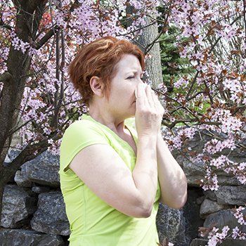 Sneezing — Bluefield, VA — Allergy & Asthma Center of Bluefield