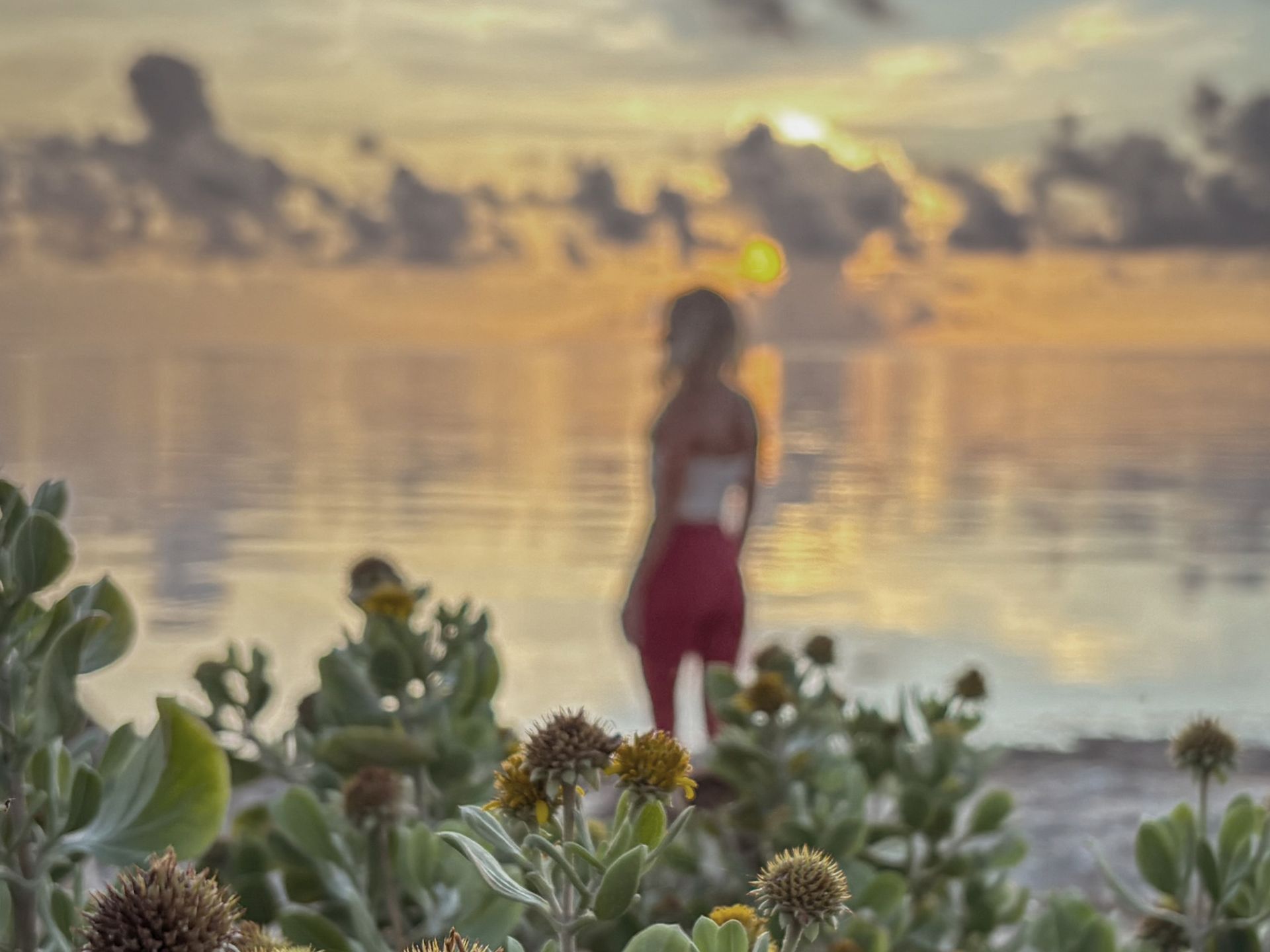 A woman is standing in front of a body of water at sunset.