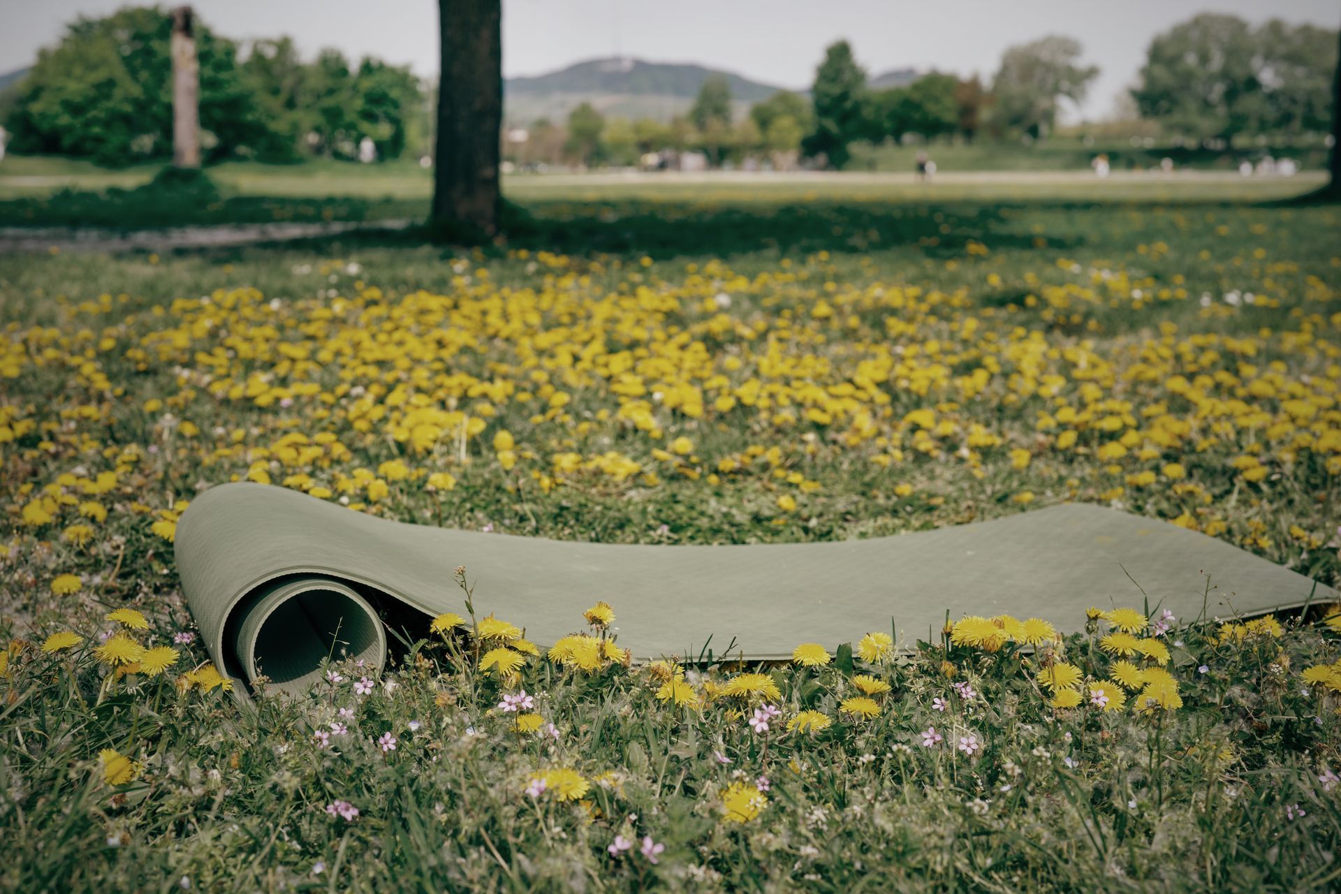 Rolled-up yoga mat on a grassy field with yellow flowers, in front of trees and a hill.