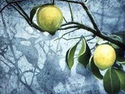 Paolo Nuti Gallery 01