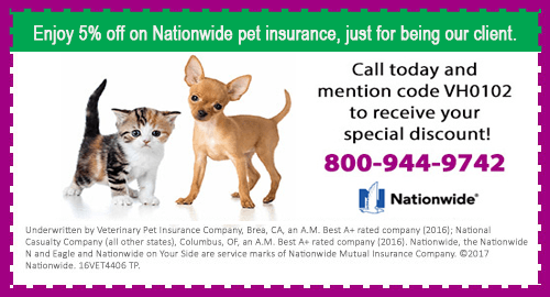 Special Offers from South San Diego Veterinary Hospital