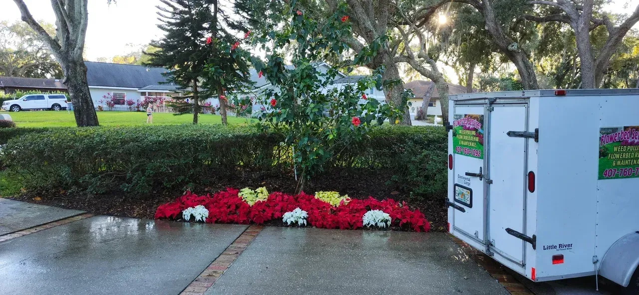 Flowers and trailer on a driveway. Red flowers and white blooms in a row. White trailer parked on the right.