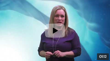 RRSP Contributions - Taivi Tayler