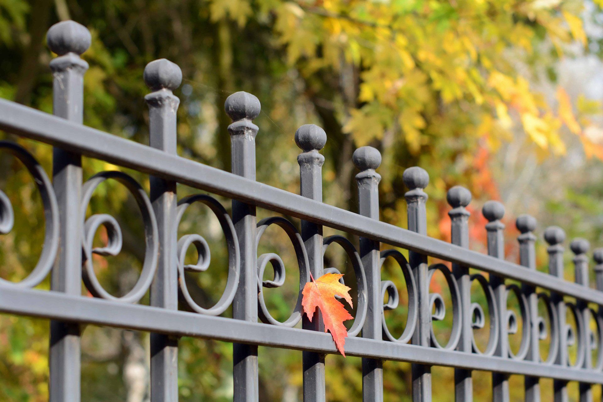 Wrought iron fence Shreveport